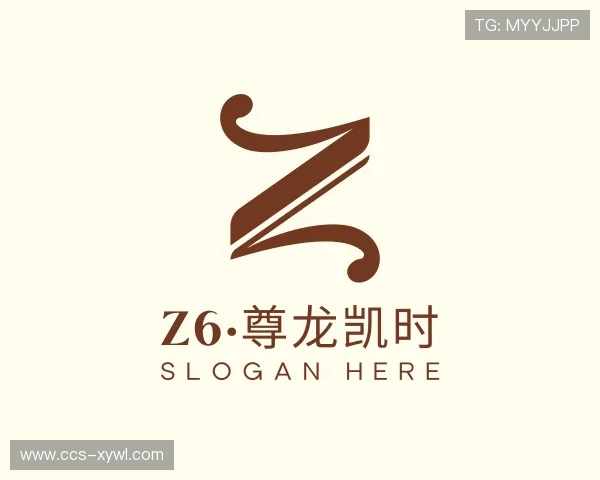 关于Z6·尊龙凯时